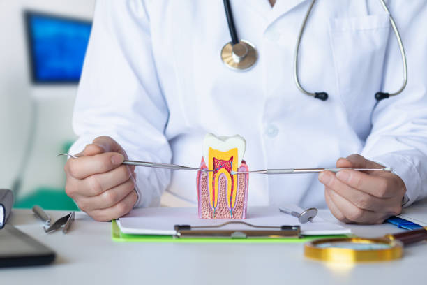 Best Tooth Pain Emergency Relief  in Northwood, OH